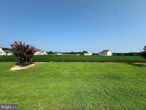 a view of a grassy field with an trees