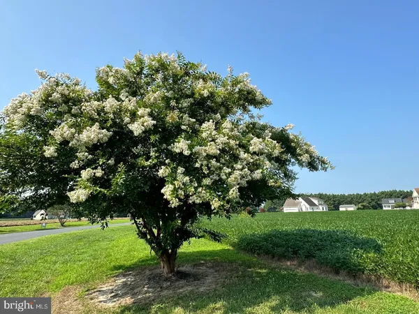 $39,900 | 10615 Rosewood Court, Princess Anne, MD 21853