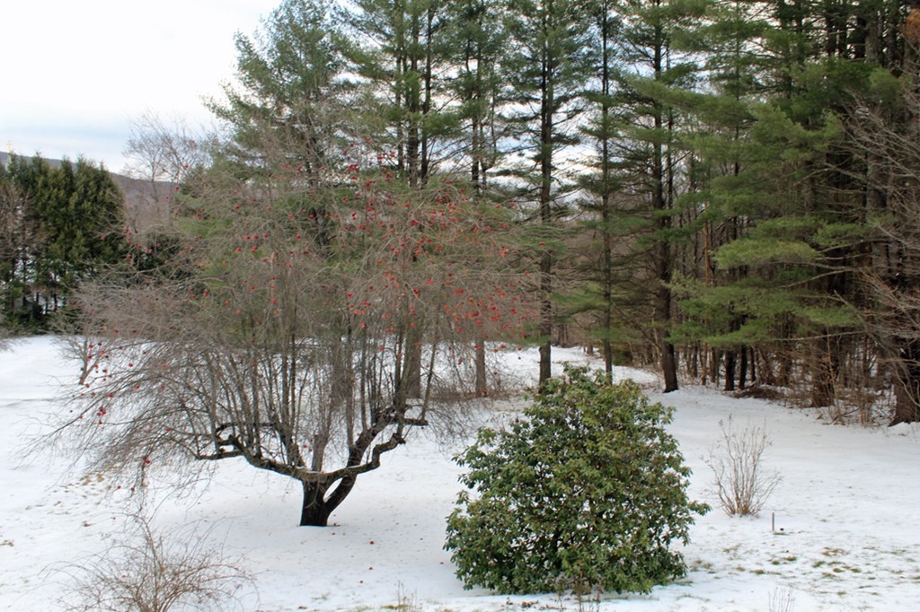 5 Bray Road Buckland, MA 01370 - Photo 24 of 24