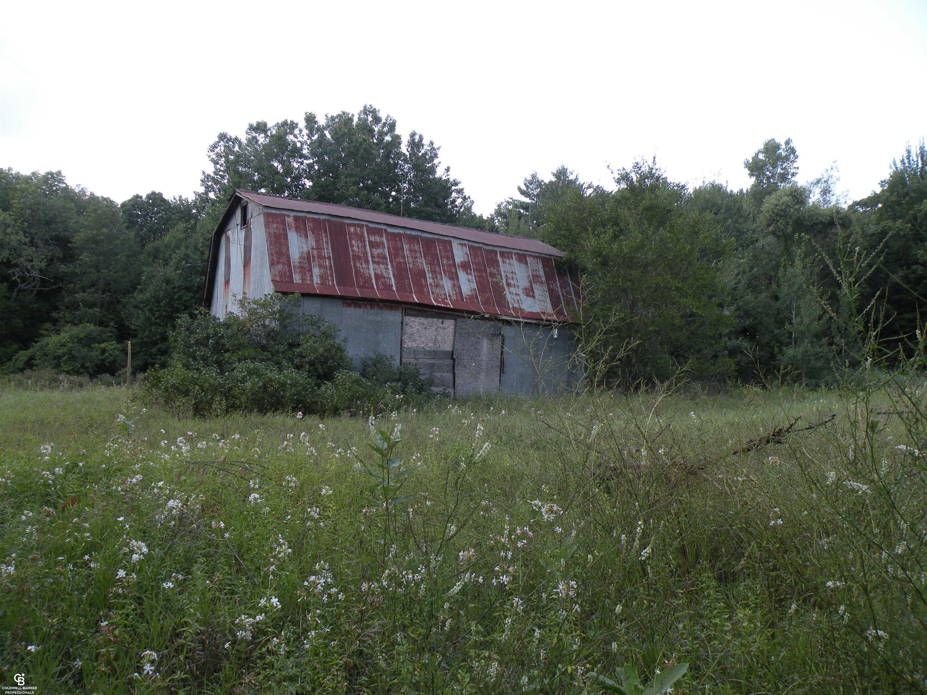 0 Parks Road Yale, MI 48097 - Photo 5 of 12