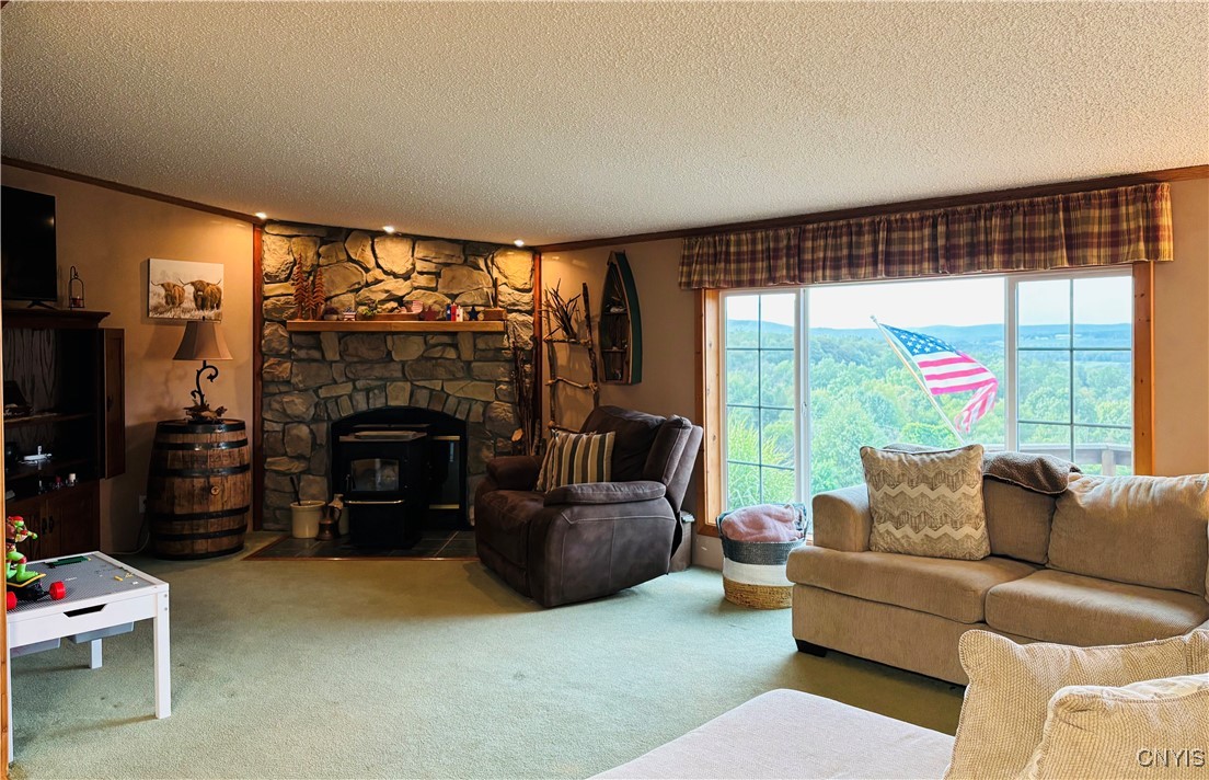 3228 Zelsnack Road Marathon, NY 13803 - Photo 15 of 50 Spacious Livingroom