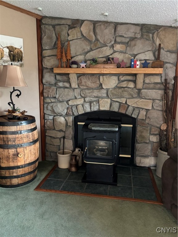 3228 Zelsnack Road Marathon, NY 13803 - Photo 16 of 50 Livingroom features a pellet stove highlighted by