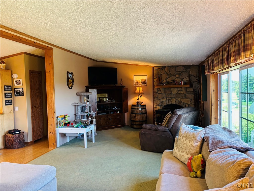 3228 Zelsnack Road Marathon, NY 13803 - Photo 17 of 50 Great family space