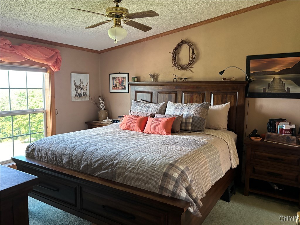 3228 Zelsnack Road Marathon, NY 13803 - Photo 18 of 50 Primary bedroom w/ beautiful views &
en-suite ba