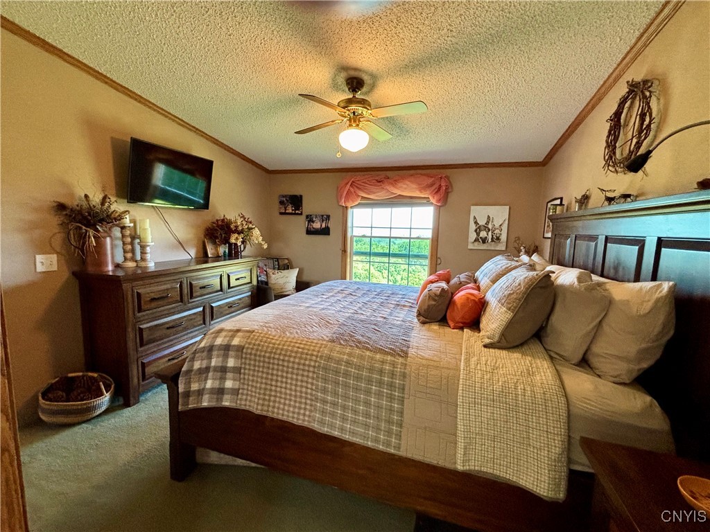 3228 Zelsnack Road Marathon, NY 13803 - Photo 19 of 50 Large Primary bedroom