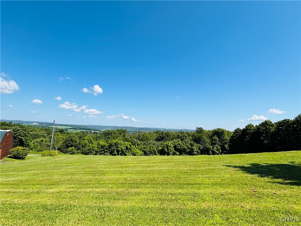3228 Zelsnack Road Marathon, NY 13803 - Photo 32 of 50 Large front area of 1.8 acreage
