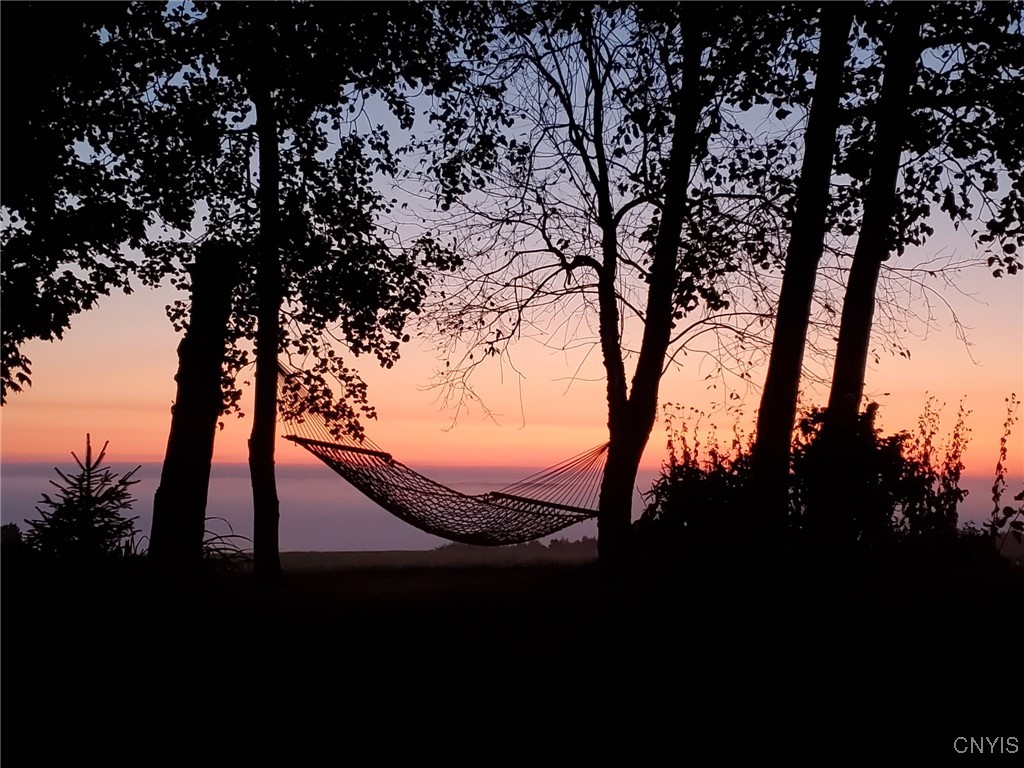 3228 Zelsnack Road Marathon, NY 13803 - Photo 47 of 50 Just relax & enjoy life