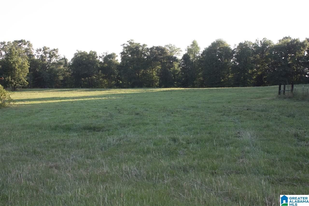 0 Louina Road Roanoke, AL 36274 - Photo 22 of 33