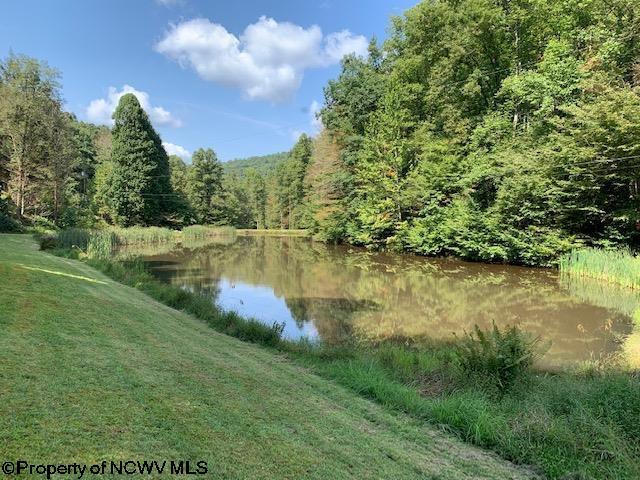 390 Co Rte 3/4 Hacker Valley, WV 26222 - Photo 2 of 14 Gallery Image 2
