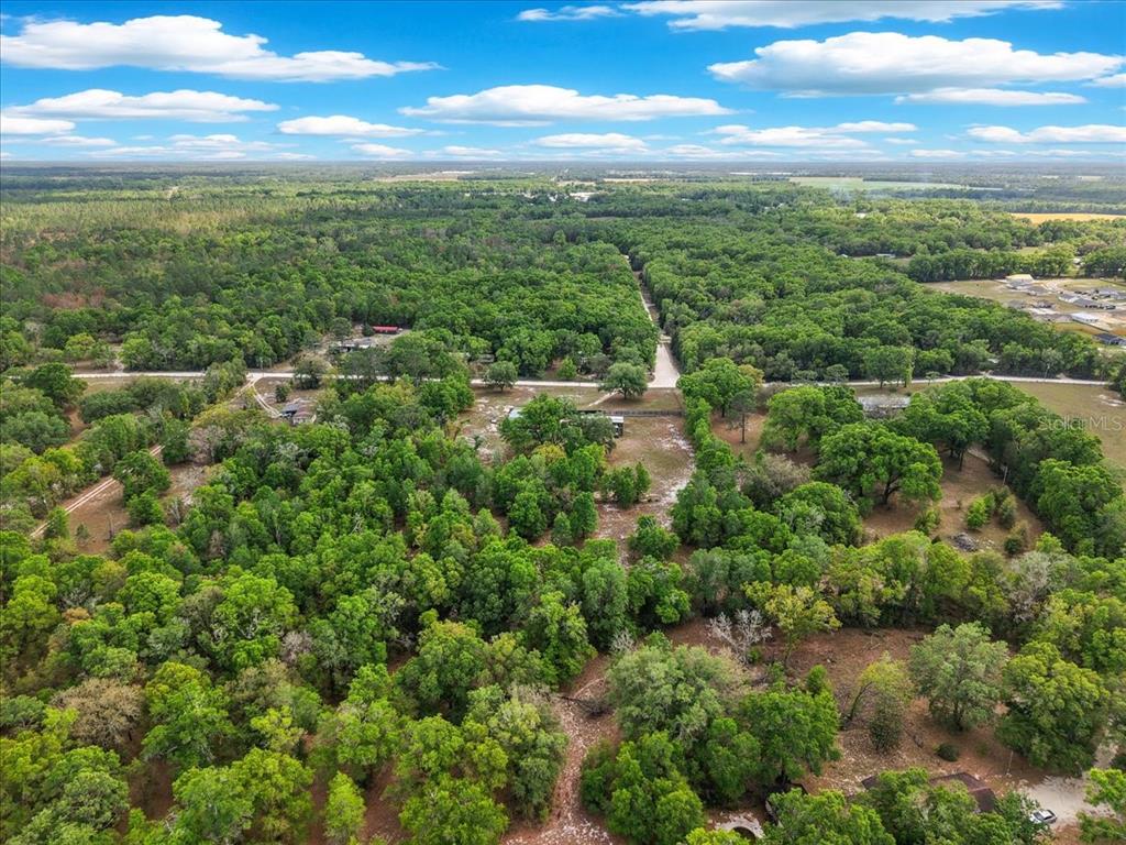 3100 Northwest 20th Street Bell, FL 32619 - Photo 34 of 39 a view of a green field with lots of trees