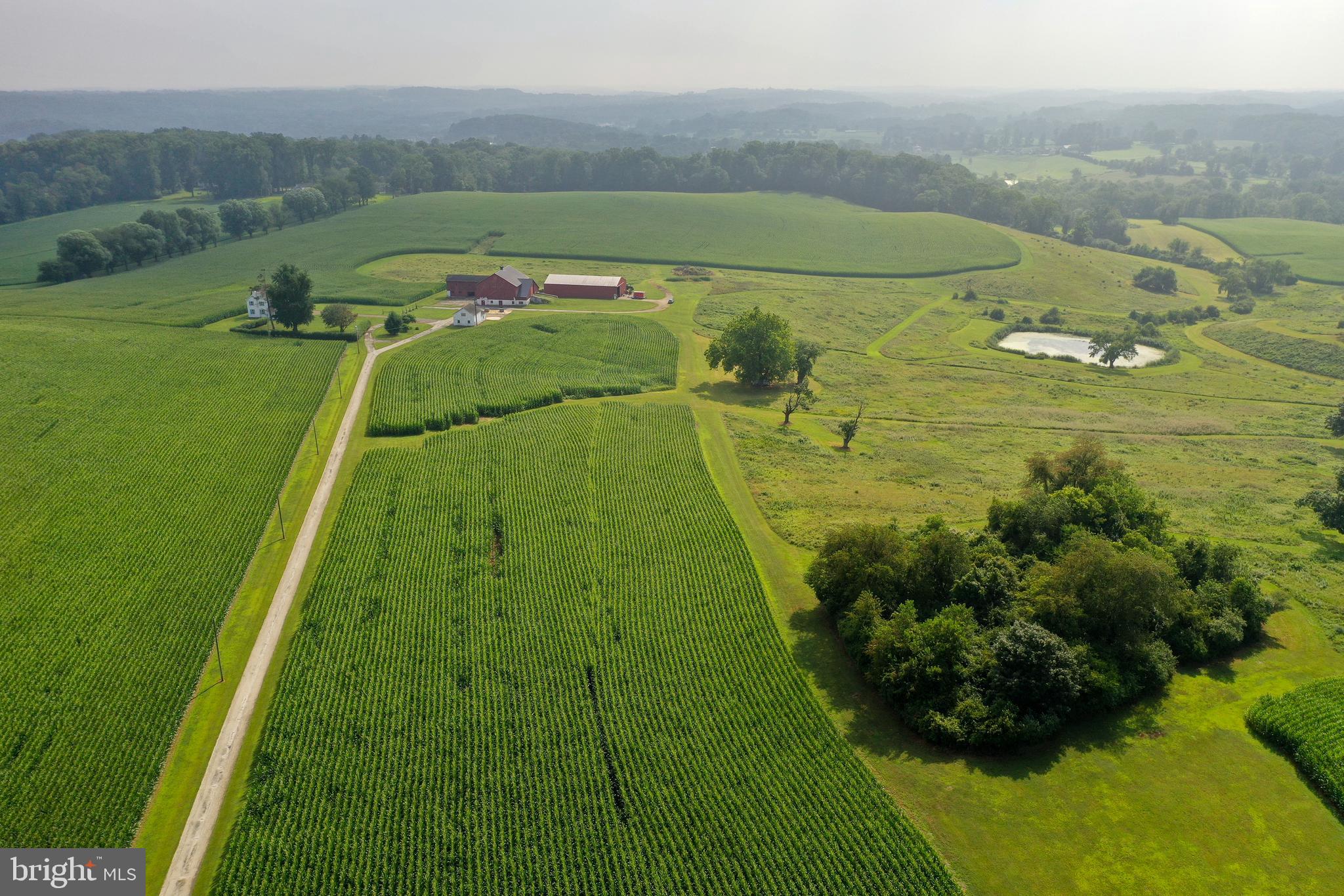 944 Providence Road Newtown Square, PA 19073 - Photo 12 of 20 a view of a lush green space