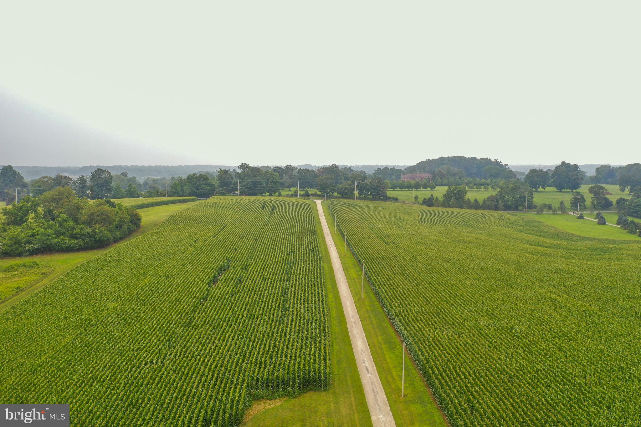 944 Providence Road Newtown Square, PA 19073 - Photo 13 of 20 a view of lake and mountain