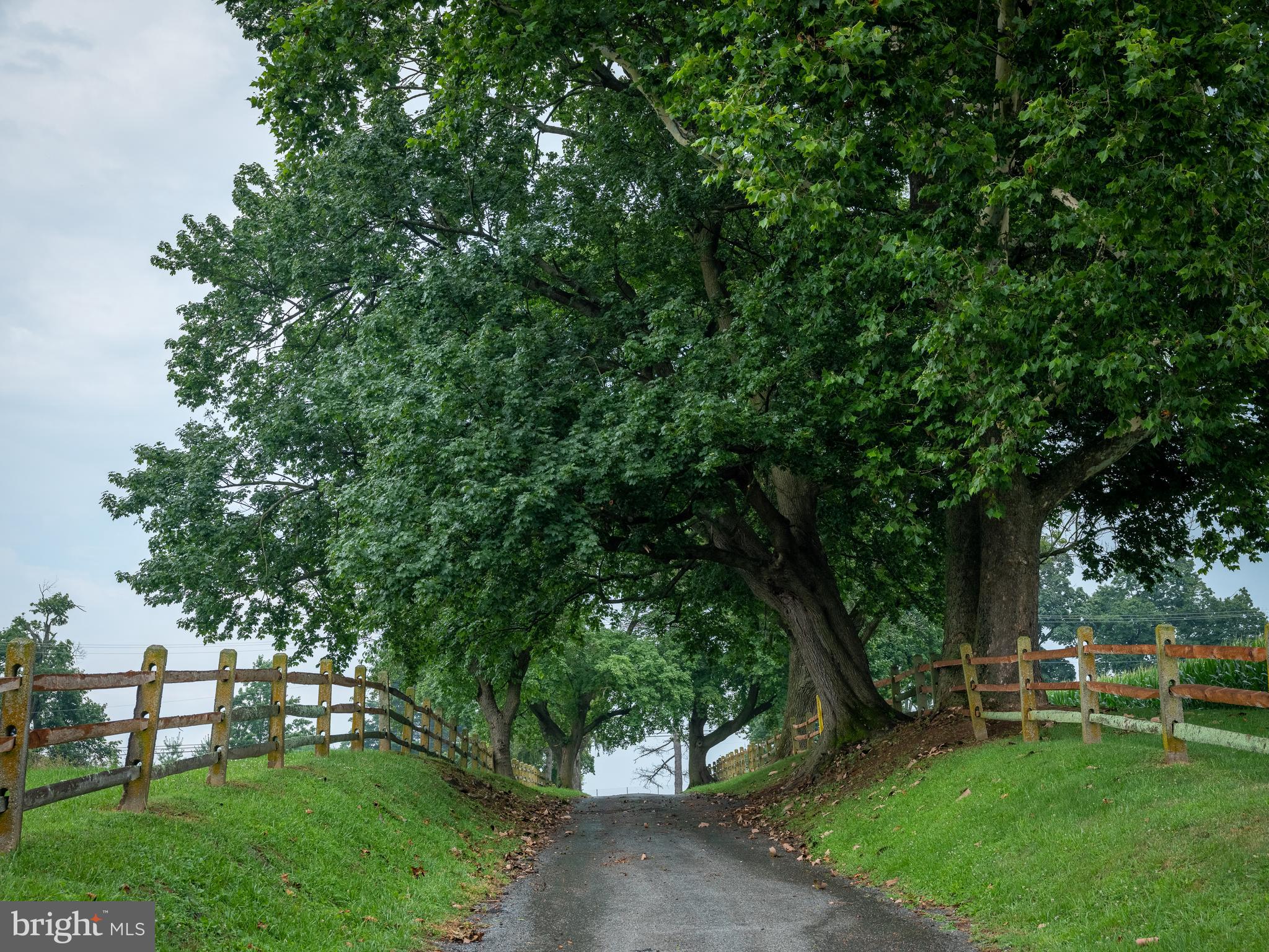 944 Providence Road Newtown Square, PA 19073 - Photo 7 of 20 a view of a chairs in a backyard