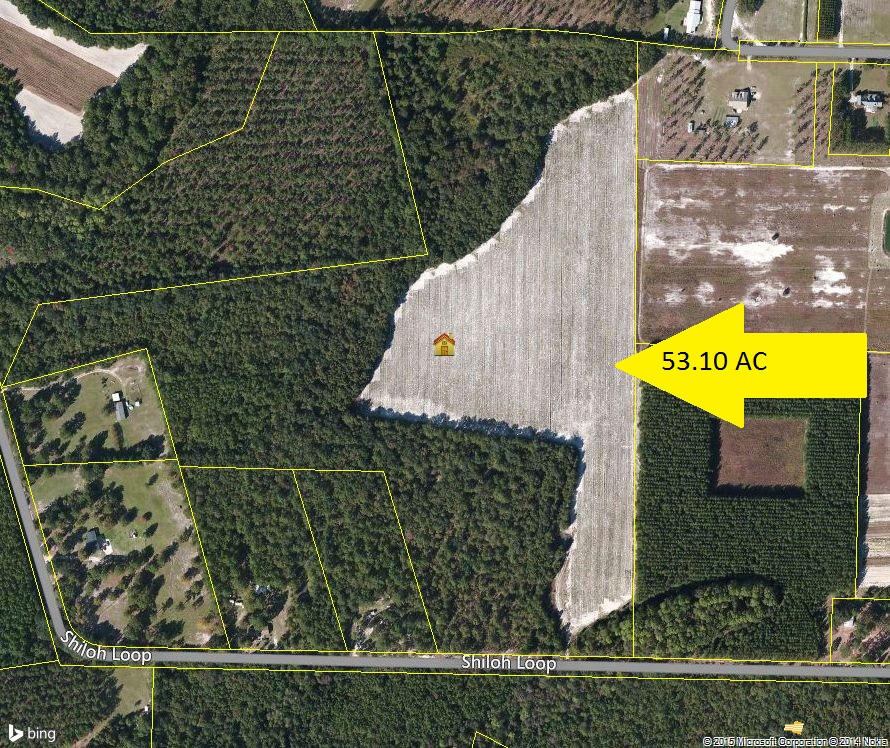 0 Shiloh Loop Ruffin, SC 29475 - Photo 1 of 1 Aerial View