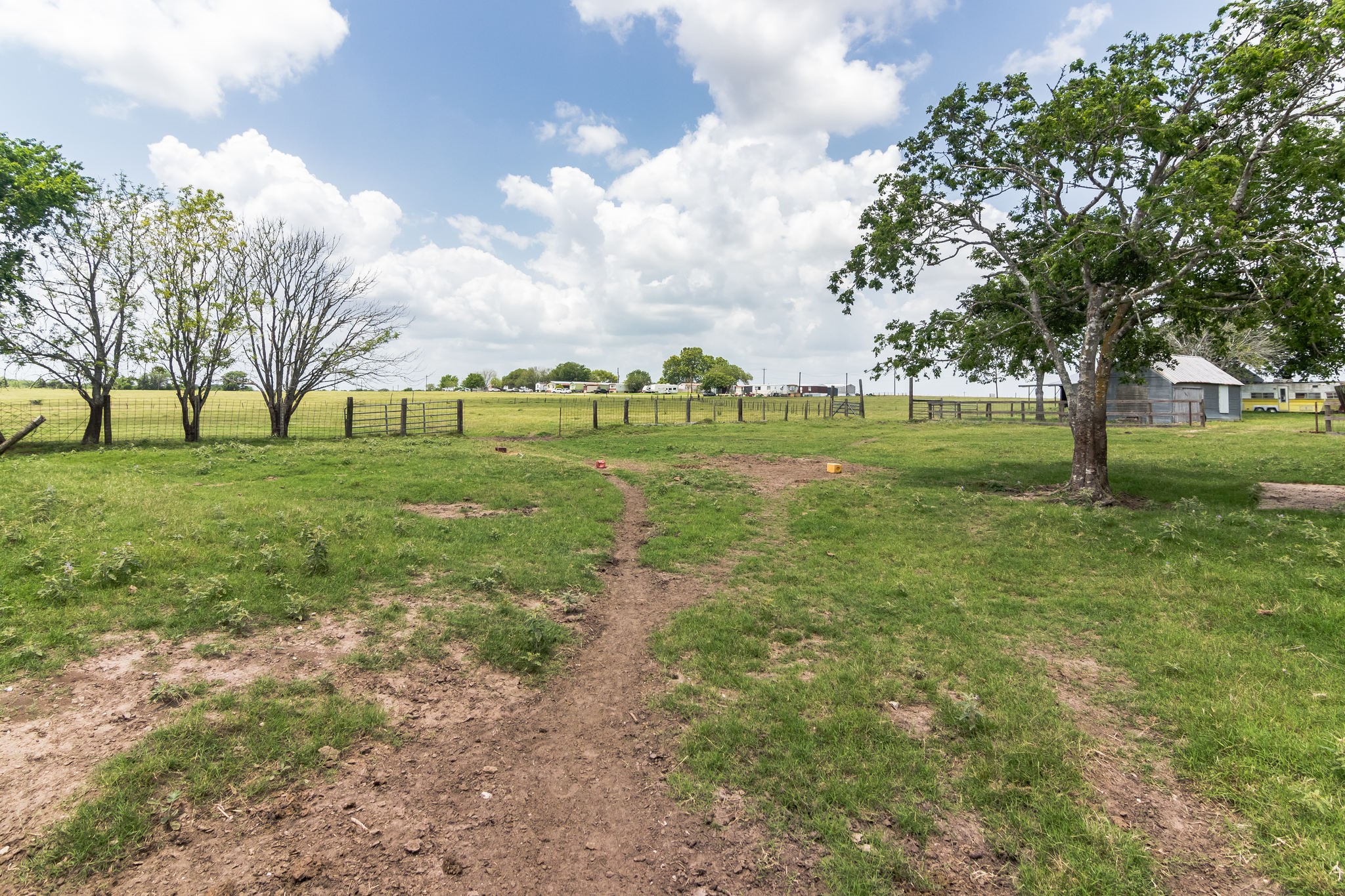 1230 FM 155 Weimar, TX 78962 - Photo 16 of 27 a view of field with trees in the background