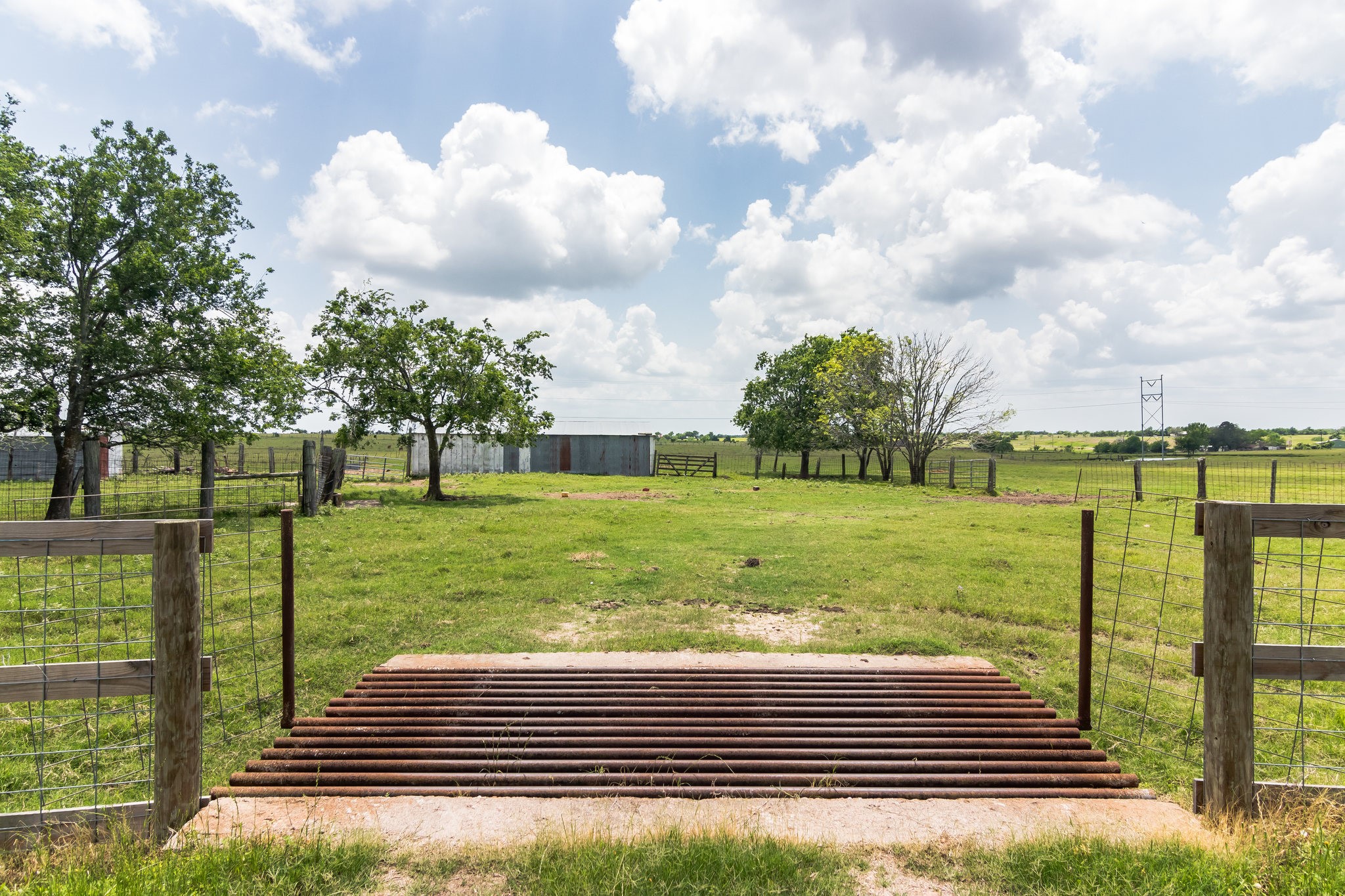 1230 FM 155 Weimar, TX 78962 - Photo 24 of 27 a view of a yard with large trees