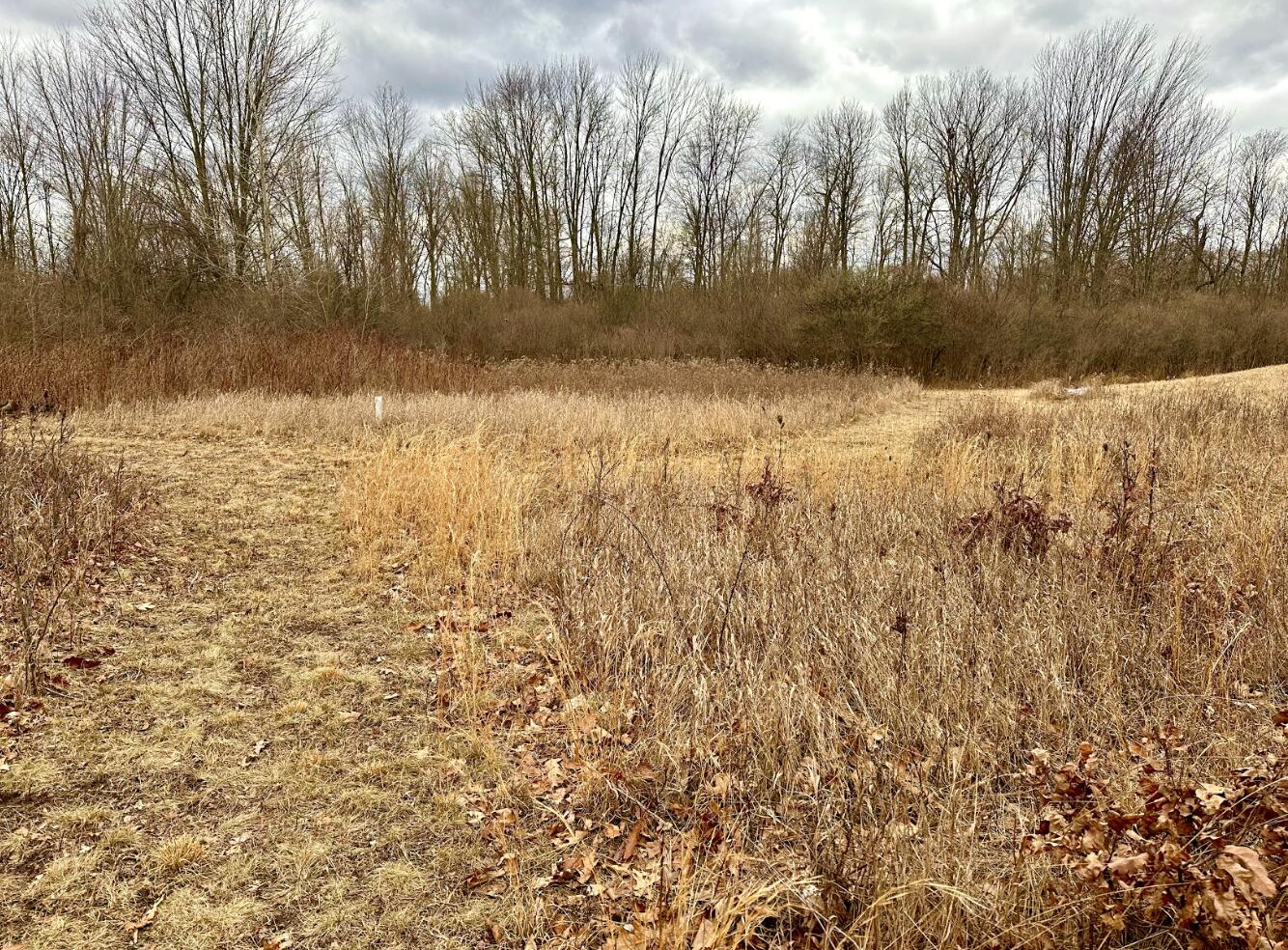 5974 Layton Road Fowlerville, MI 48836 - Photo 42 of 52 Screenshot 2023-02-24 at 10.04.44 AM