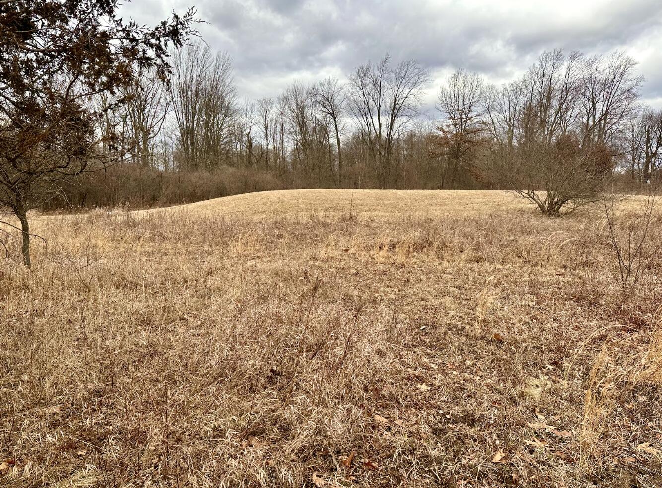 5974 Layton Road Fowlerville, MI 48836 - Photo 43 of 52 Screenshot 2023-02-24 at 10.04.51 AM