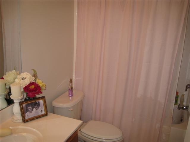 113 Soliel Way, Unit POWDERSVILLE Pendleton, SC 29670 - Photo 20 of 25 Gallery Image 20