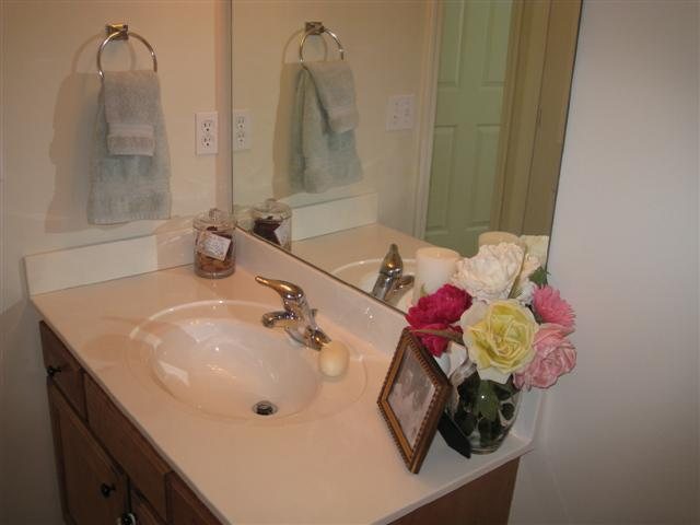 113 Soliel Way, Unit POWDERSVILLE Pendleton, SC 29670 - Photo 21 of 25 Gallery Image 21