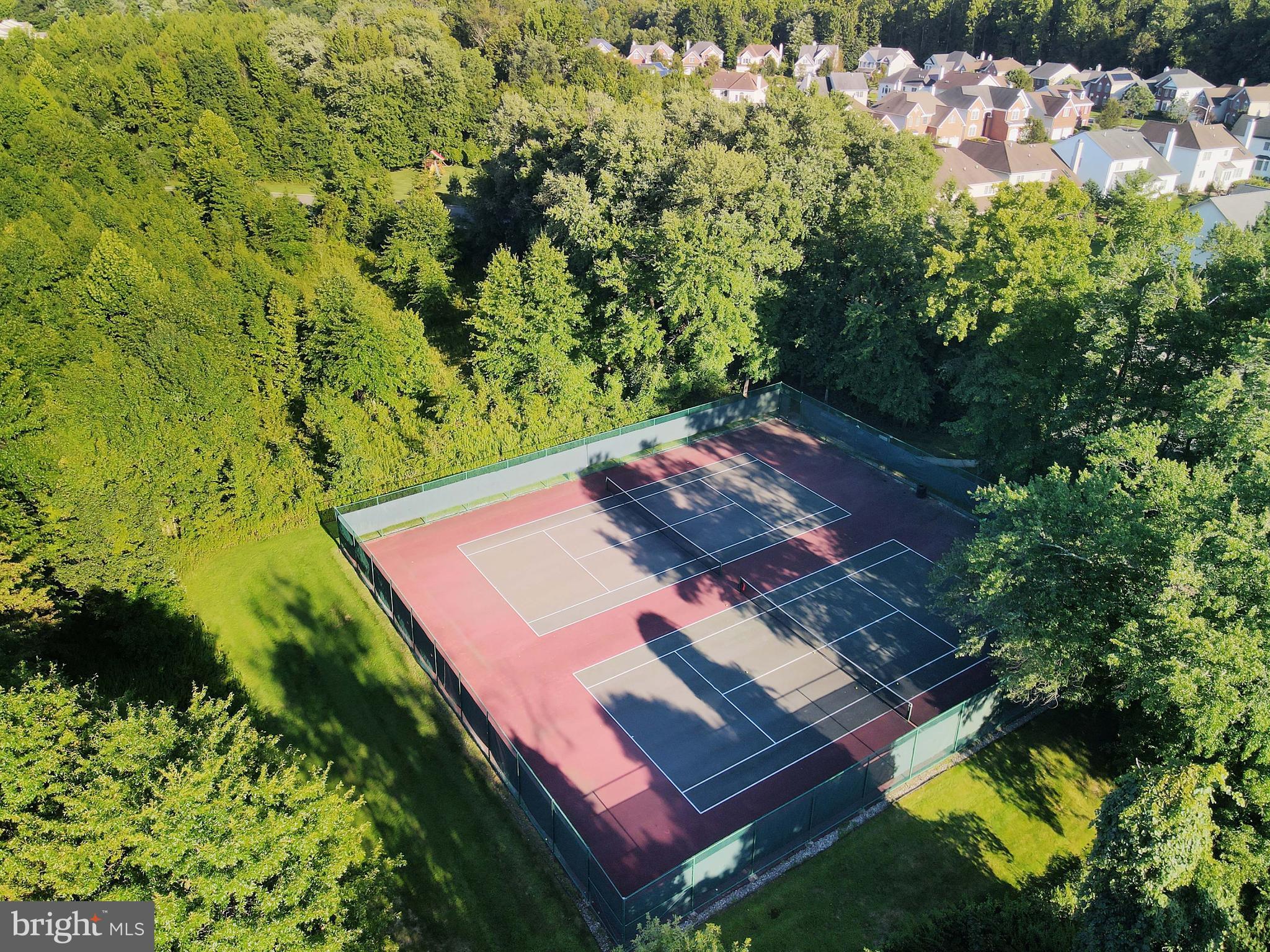11 Wedgewood Court Princeton, NJ 08540 - Photo 35 of 40 a view of a yard with plants