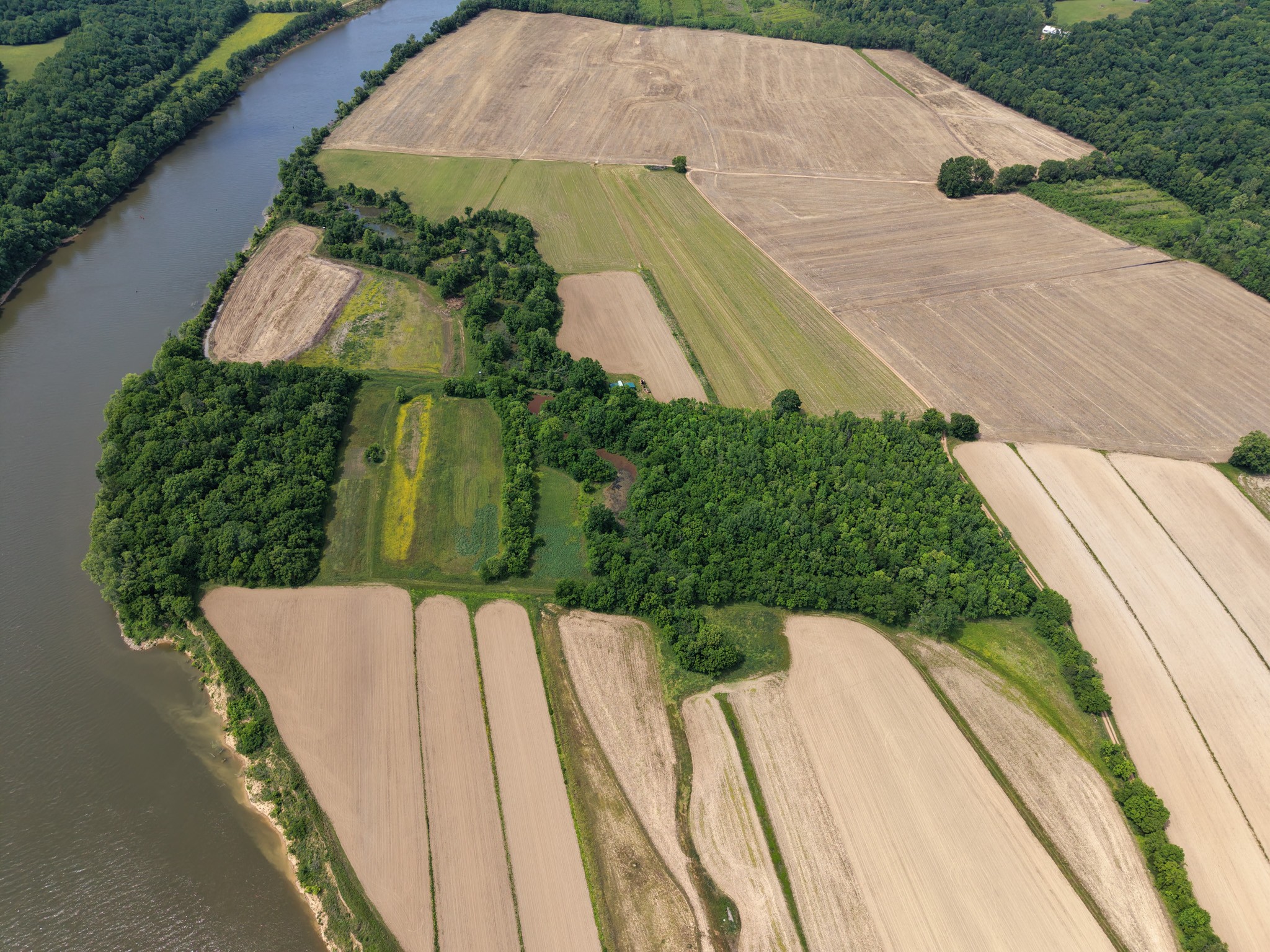 1 Neptune Road Ashland City, TN 37015 - Photo 19 of 34 Gallery Image 19