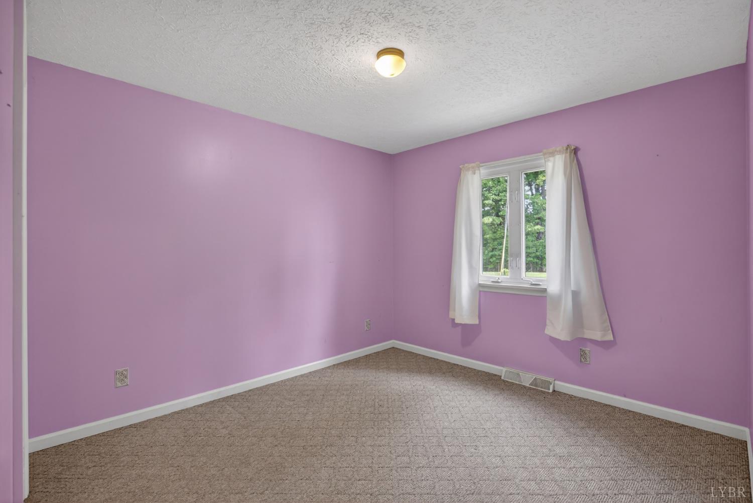 1249 Cedar Gate Road Monroe, VA 24574 - Photo 19 of 77