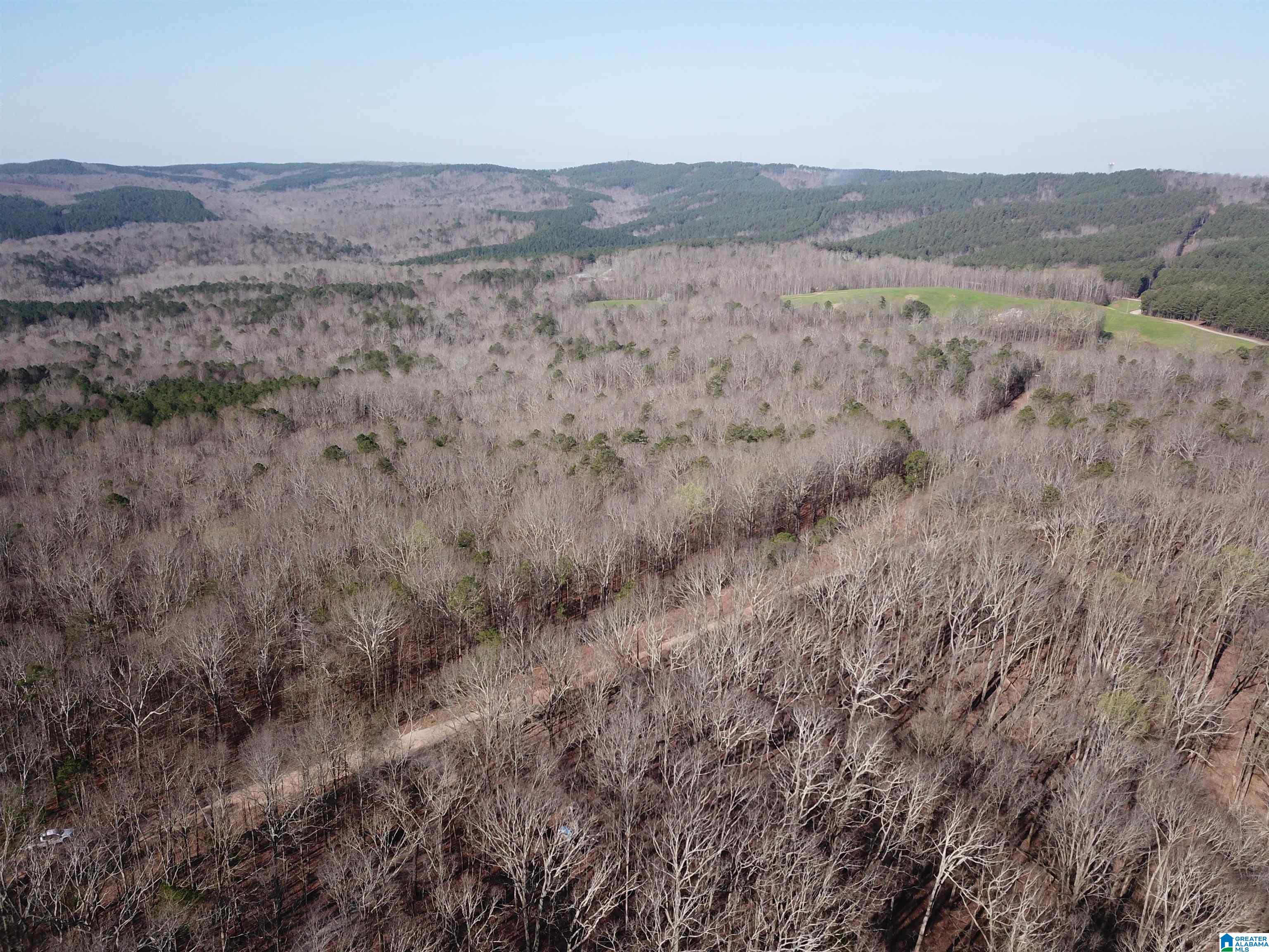 0 County Road 852, Unit 2 Ranburne, AL 36273 - Photo 15 of 19