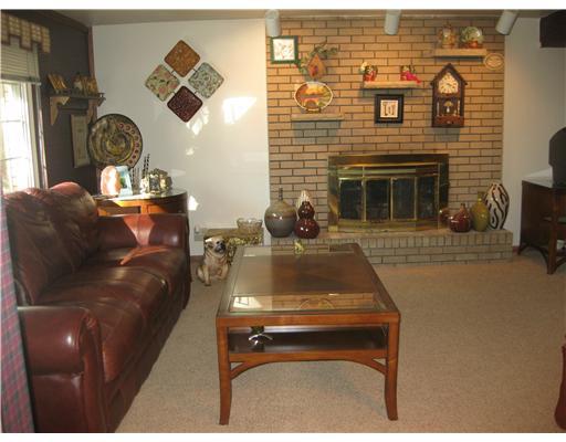 226 Churchill Road Turtle Creek, PA 15145 - Photo 13 of 17 Family Room. NEUTRAL DECOR FIREPLACE SUNDRENCHED