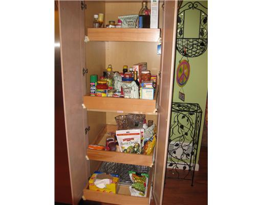 226 Churchill Road Turtle Creek, PA 15145 - Photo 9 of 17 Kitchen. GREAT PANTRY WITH SLIDE OUT DRAWERS