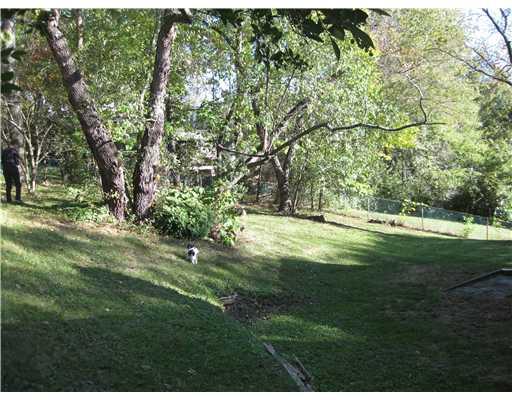 226 Churchill Road Turtle Creek, PA 15145 - Photo 10 of 17 Yard/Garden. GORGEOUS PARKLIKE FENCED IN WOODED YARD !