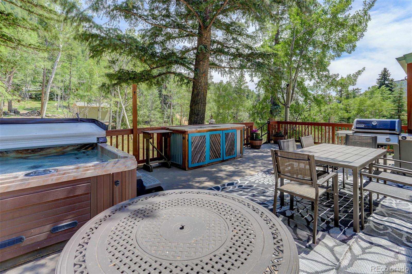 307 Snyder Mountain Road Evergreen, CO 80439 - Photo 36 of 44
