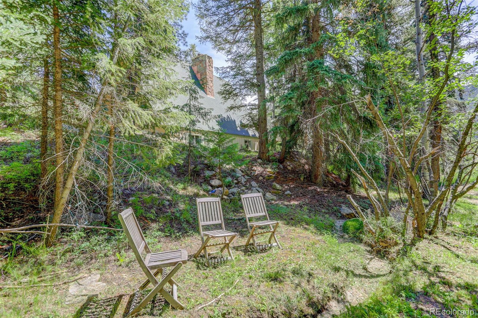 307 Snyder Mountain Road Evergreen, CO 80439 - Photo 39 of 44