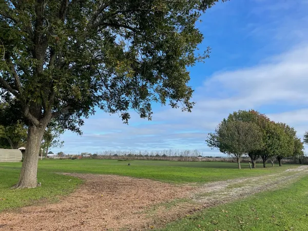 a view of a garden with an trees