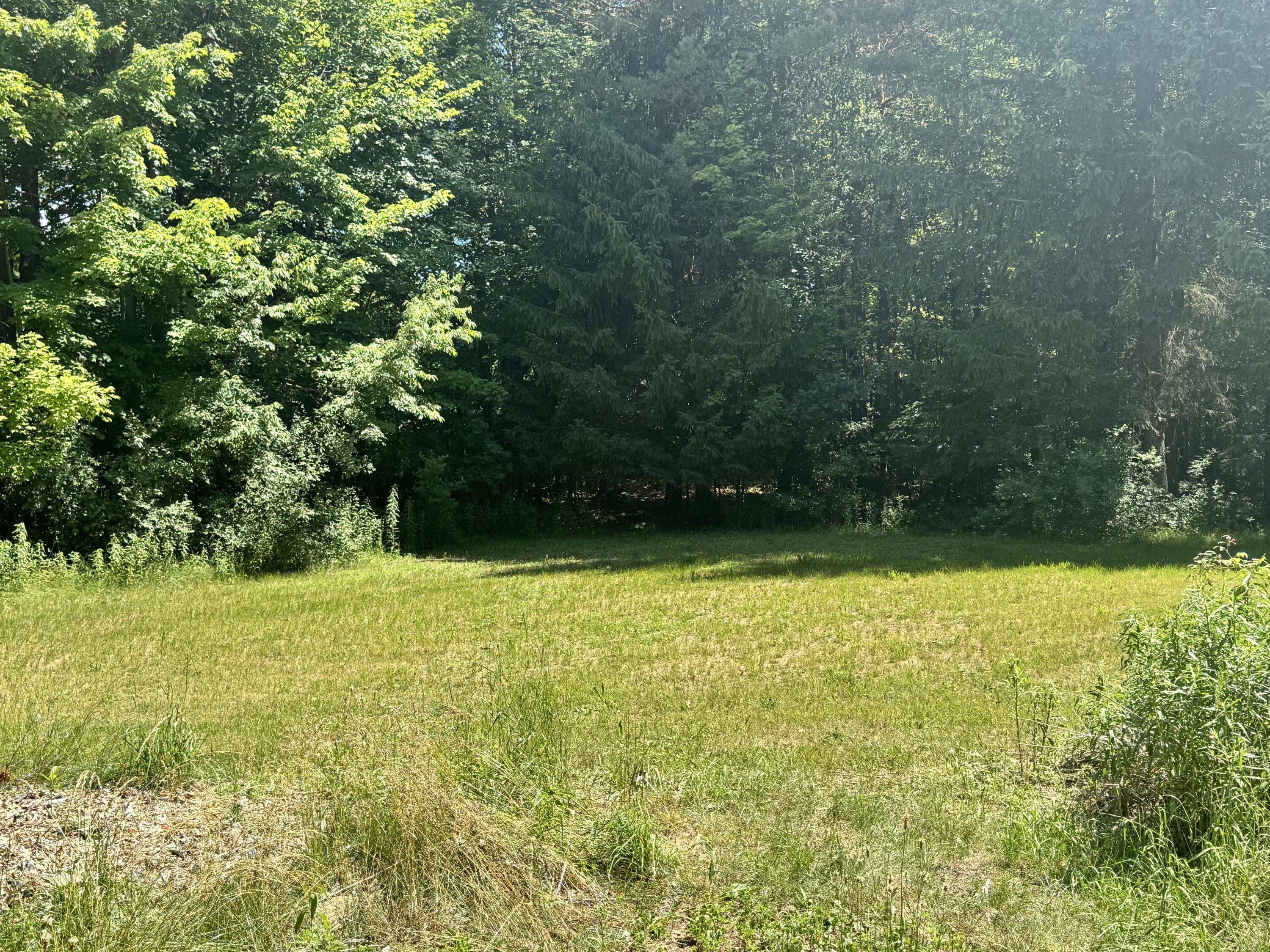 15075 Pierce Road Stanwood, MI 49346 - Photo 14 of 16 IMG_1236