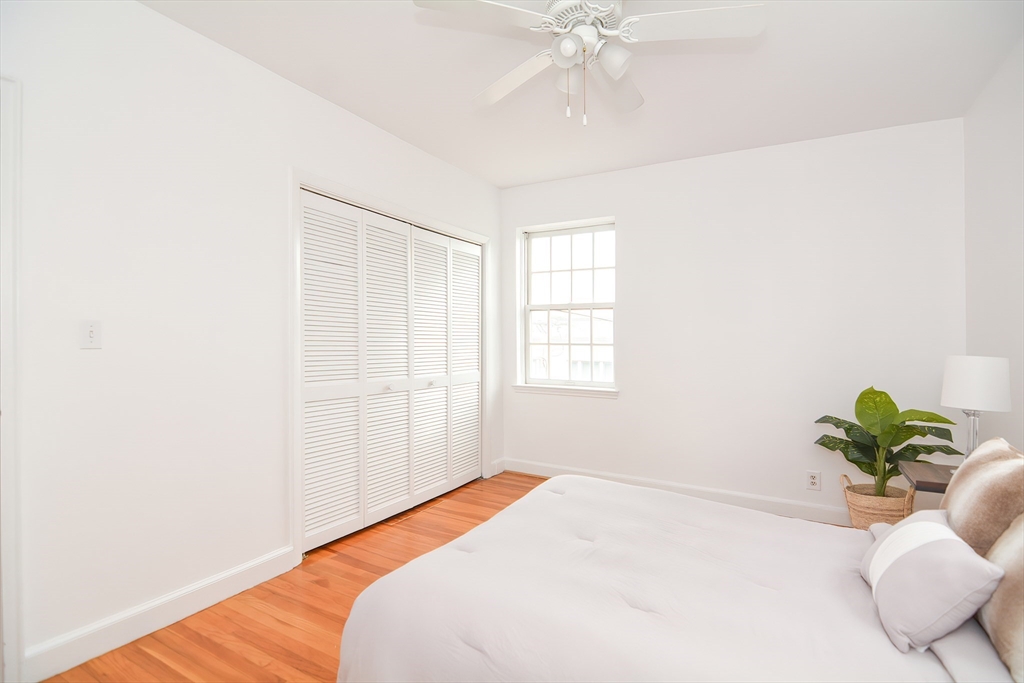 40 Browne Street, Unit 5 Brookline, MA 02446 - Photo 31 of 39 a bedroom with a bed and a potted plant