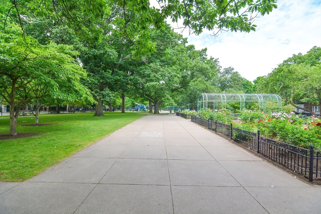 40 Browne Street, Unit 5 Brookline, MA 02446 - Photo 39 of 39 a view of a garden with an outdoor space