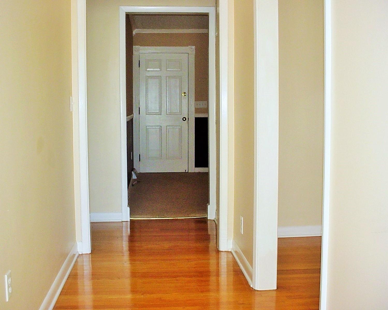 120 Almond Street Pinopolis, SC 29469 - Photo 11 of 31 DSC03676