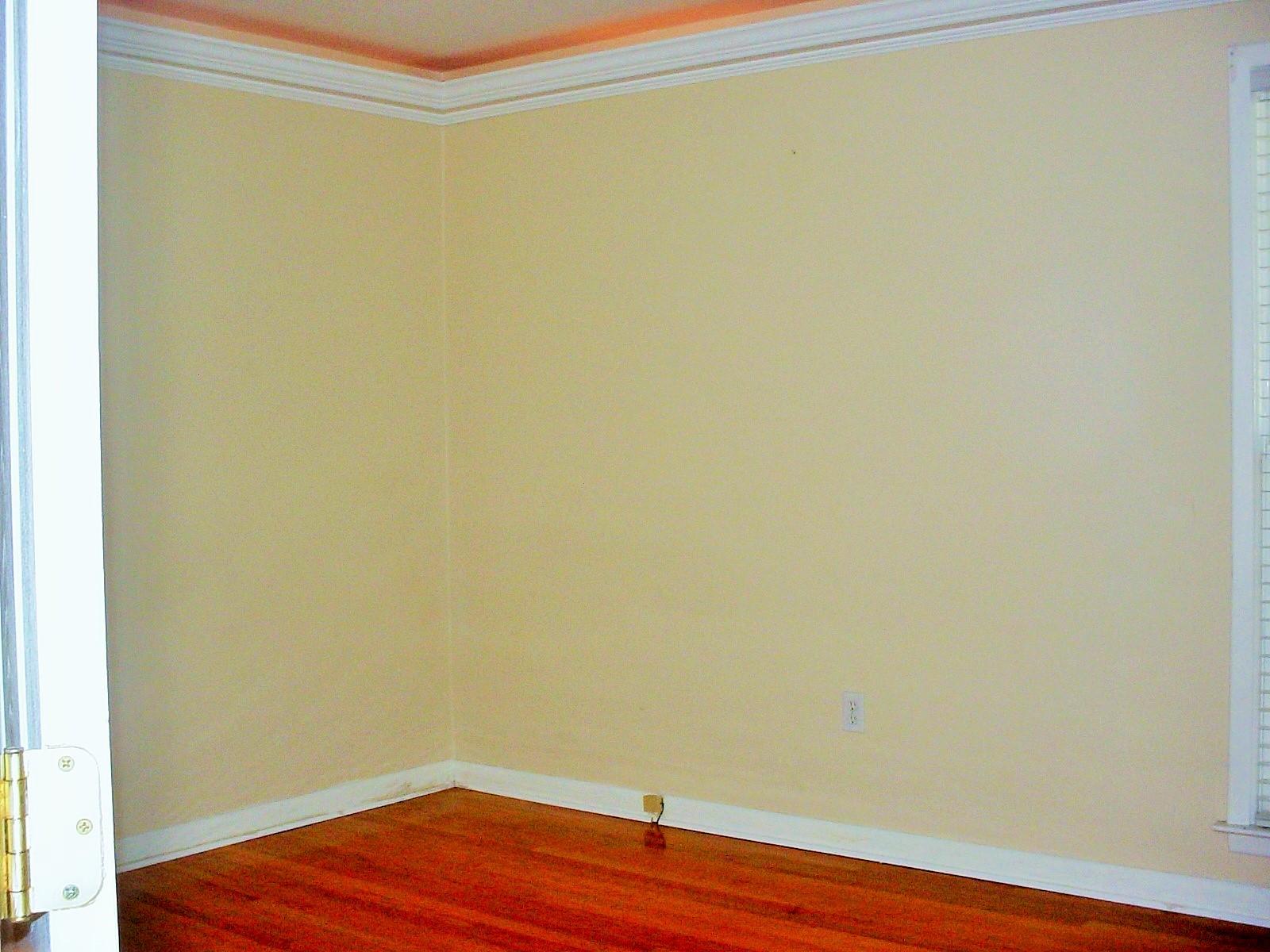 120 Almond Street Pinopolis, SC 29469 - Photo 25 of 31 DSC03692