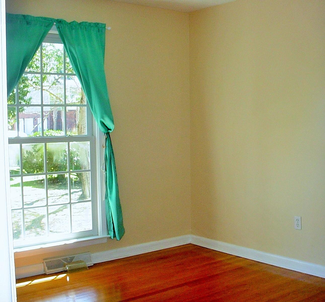 120 Almond Street Pinopolis, SC 29469 - Photo 29 of 31 DSC03691