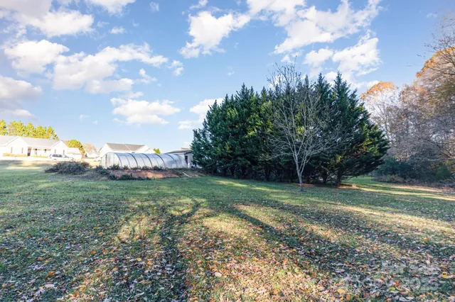 a view of a trees in a yard