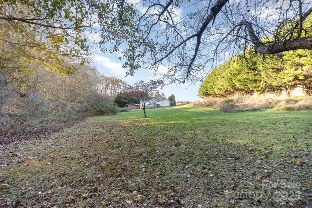 a view of a field with large trees