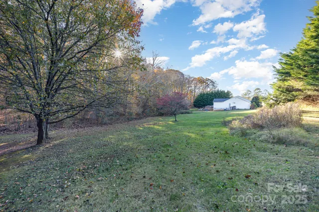 a view of a big yard with plants and large trees