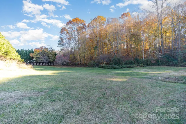 a view of a field with trees