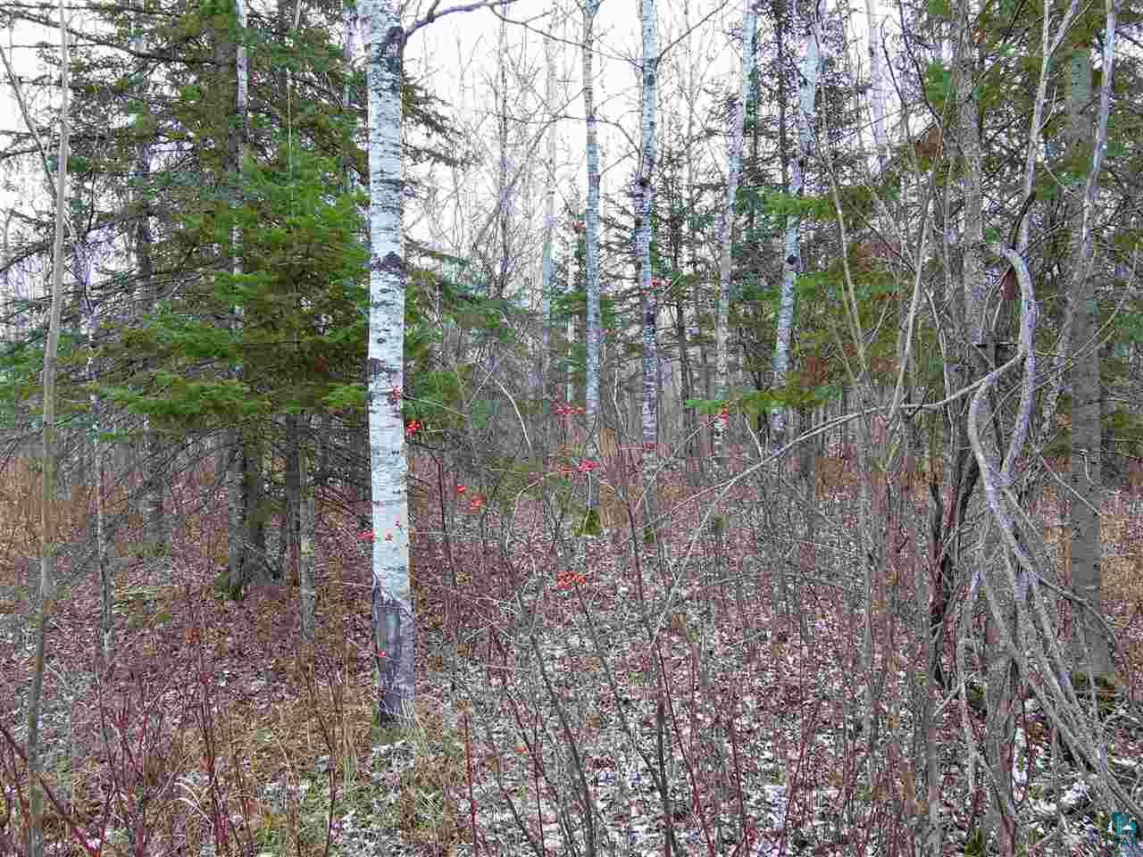 Airport Rd Port Port Wing, WI 54865 - Photo 1 of 7
