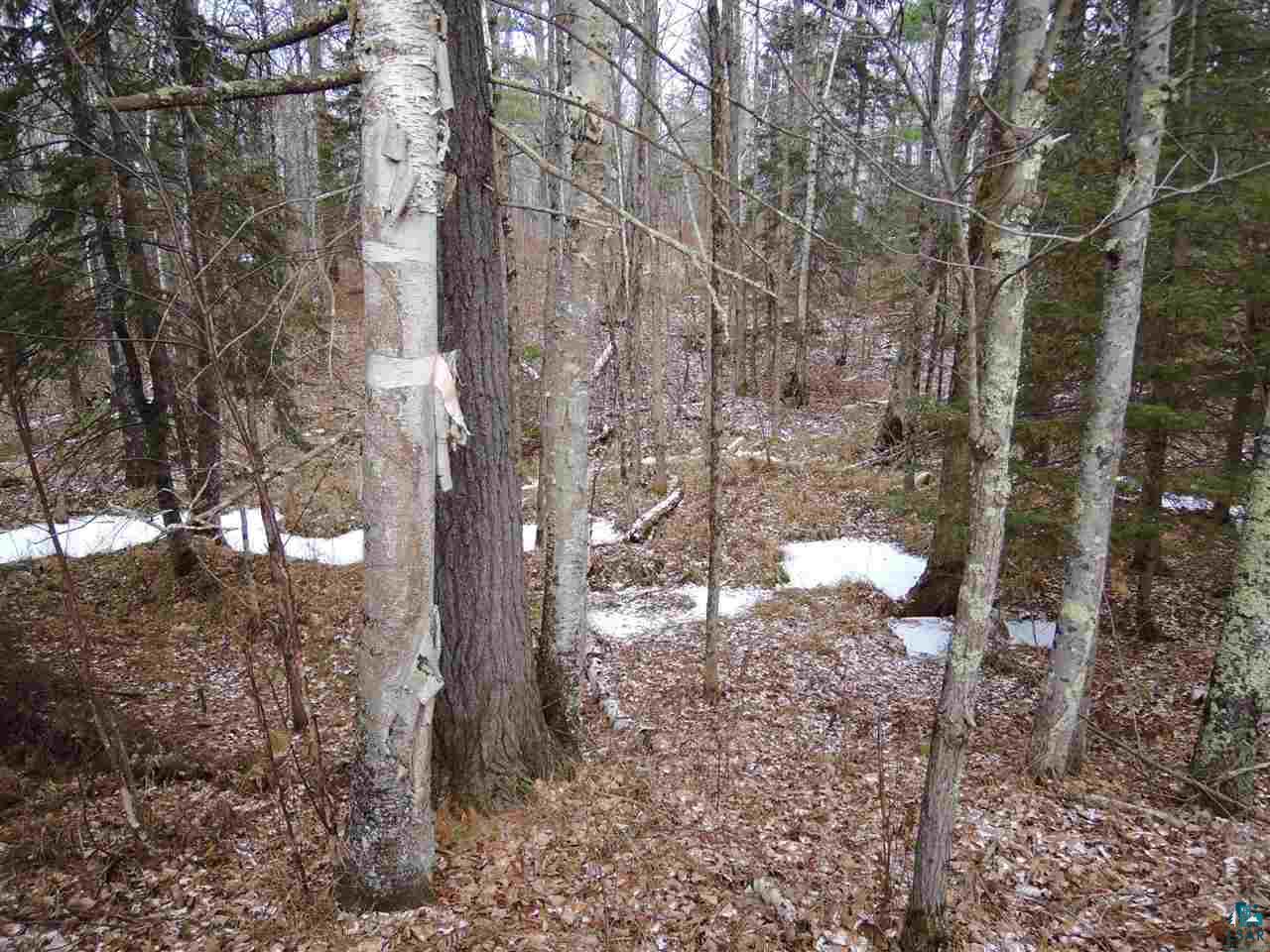 Airport Rd Port Port Wing, WI 54865 - Photo 2 of 7