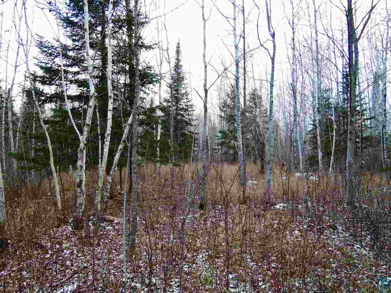 Airport Rd Port Port Wing, WI 54865 - Photo 6 of 7
