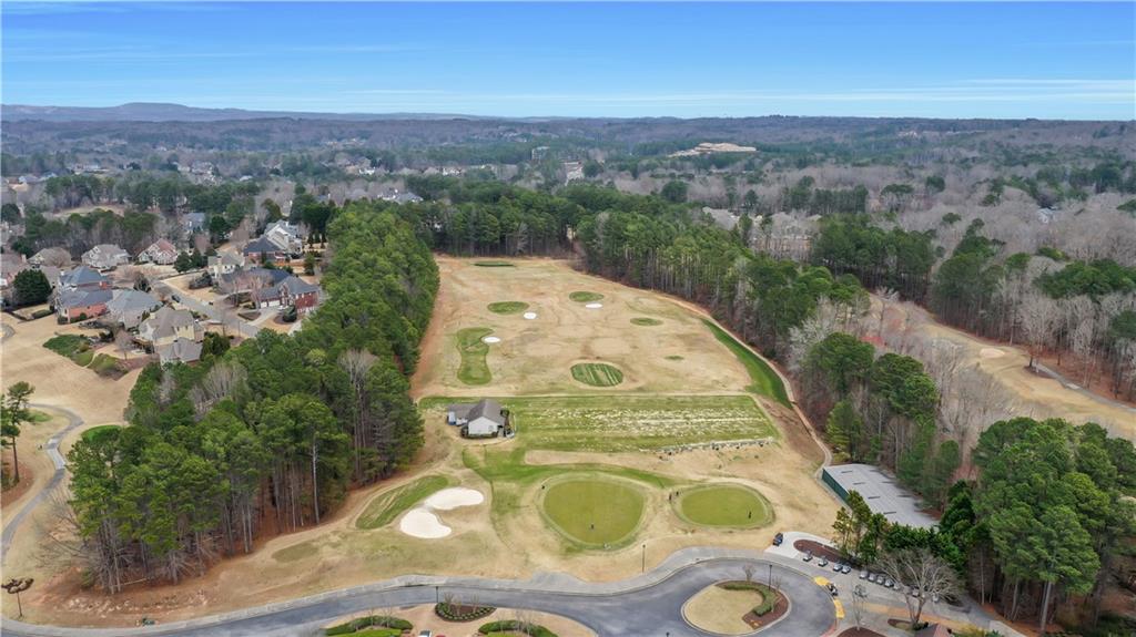 803 Rocky Ridge Court Canton, GA 30114 - Photo 78 of 80 an aerial view of a residential houses with outdoor space and trees