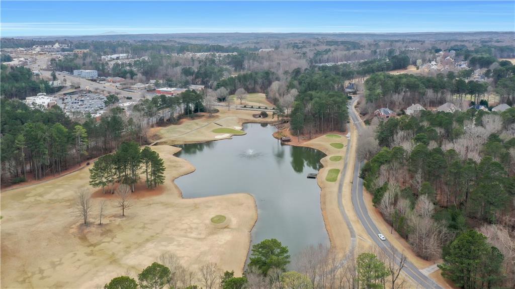 803 Rocky Ridge Court Canton, GA 30114 - Photo 80 of 80 an aerial view of a house with a yard