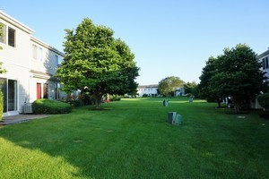 3616 Forestview Drive, Unit 3616 Joliet, IL 60431 - Photo 20 of 20 a house with green field in front of it